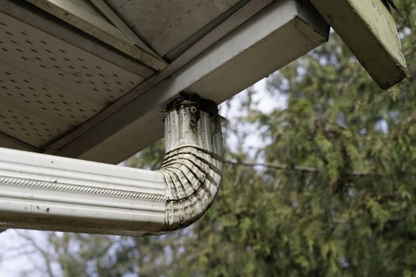 Cost of Roof Drain Replacement in Marco Island