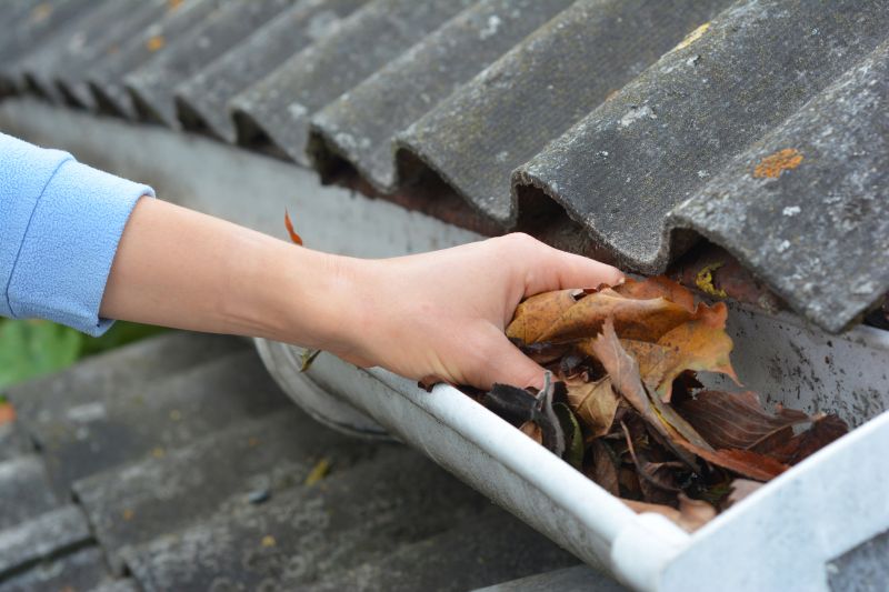 Gutter System Maintenance