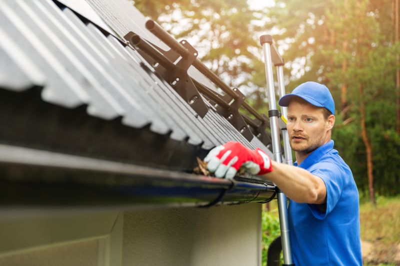 Experienced Gutter Cleaners